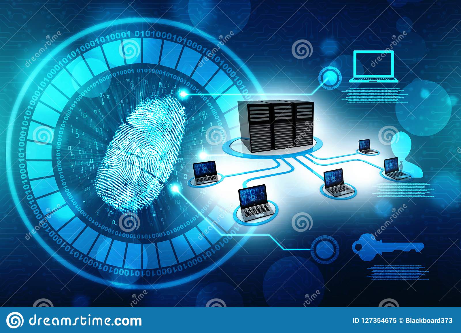İnternet Network